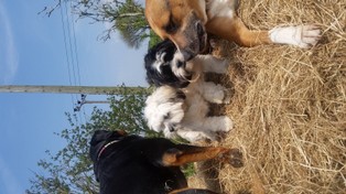 20160507_125523.jpg