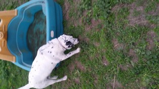 20160607_205552.jpg