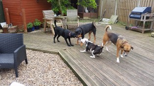 20160608_132802.jpg